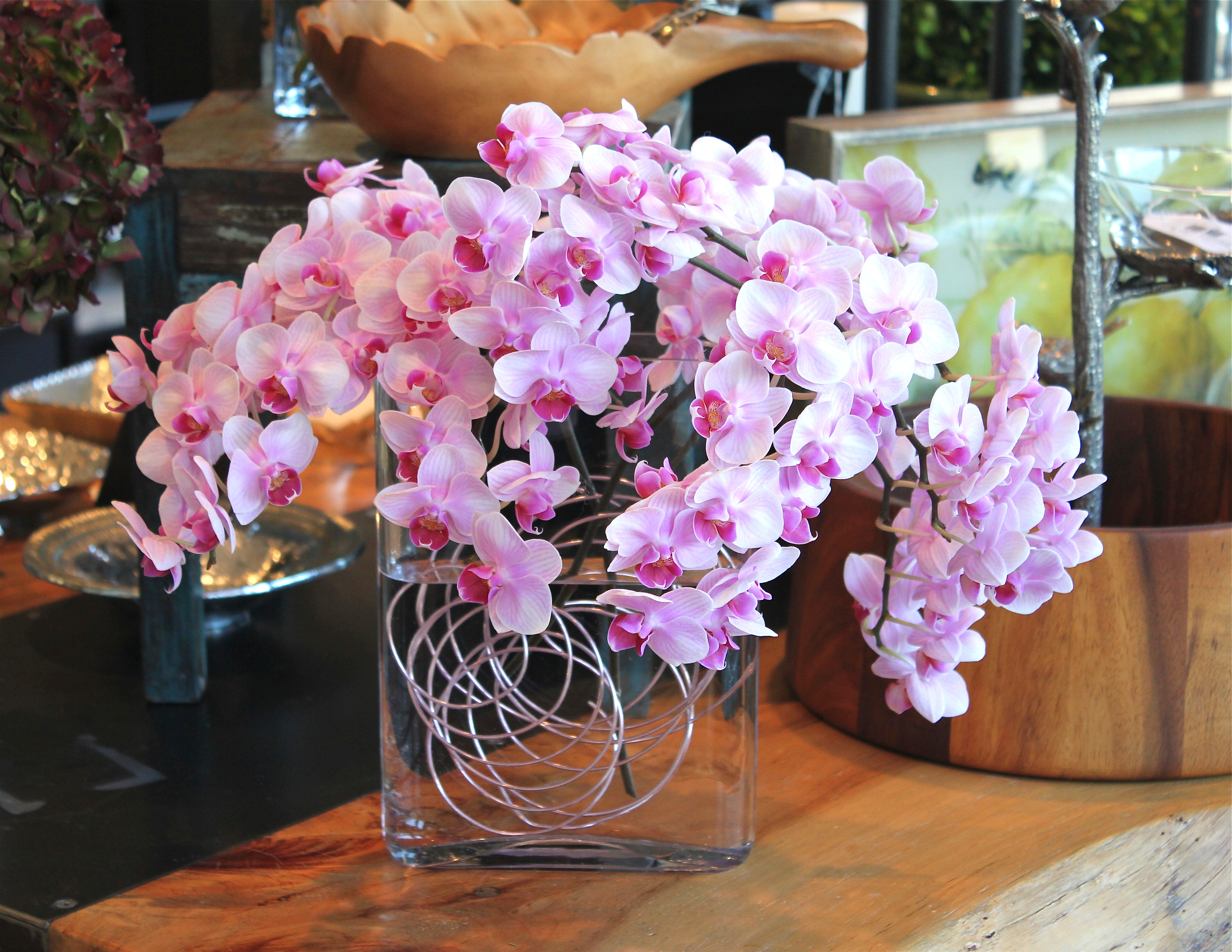 Monsoon Flowers Photo