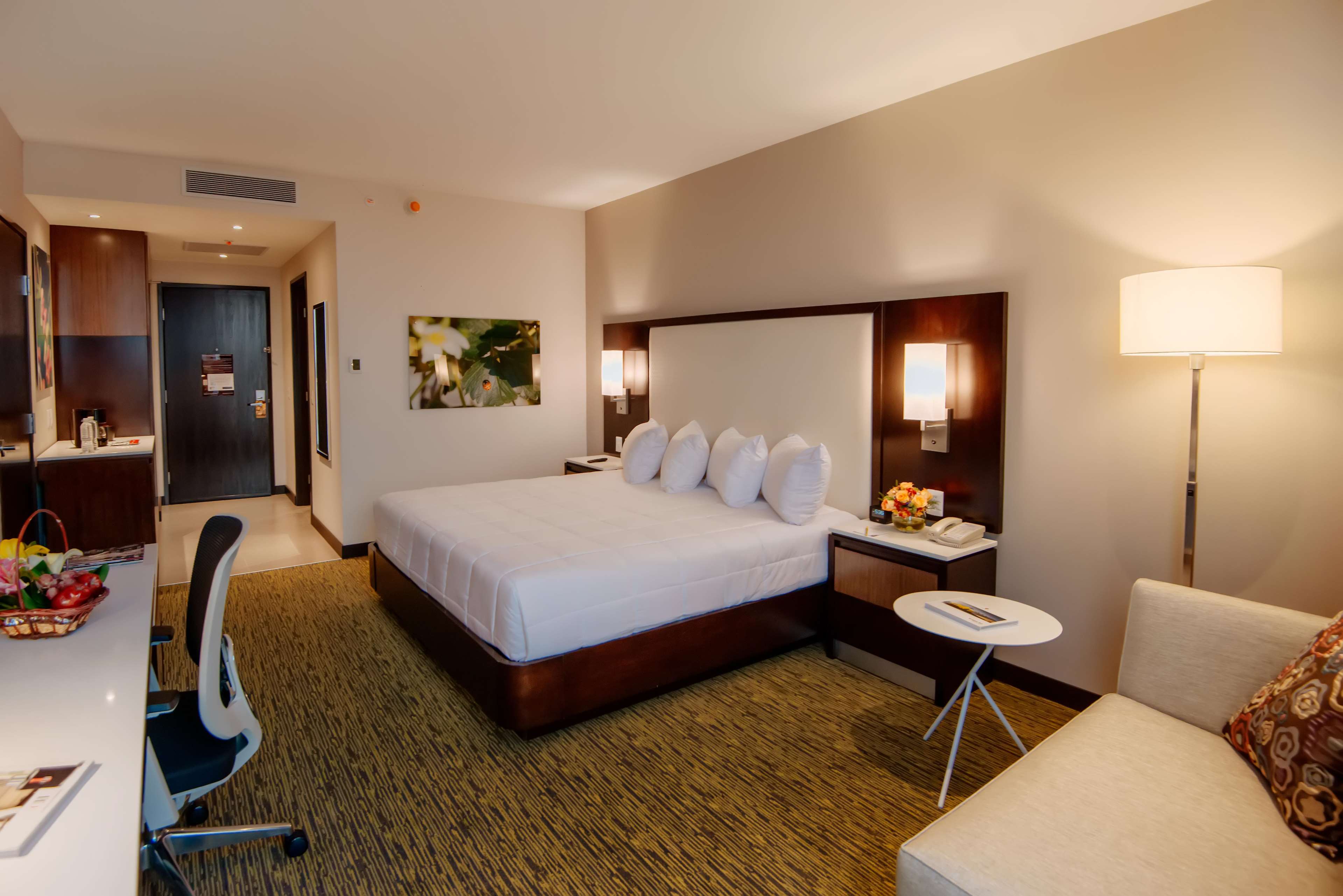 Images Hilton Garden Inn Puebla Angelópolis