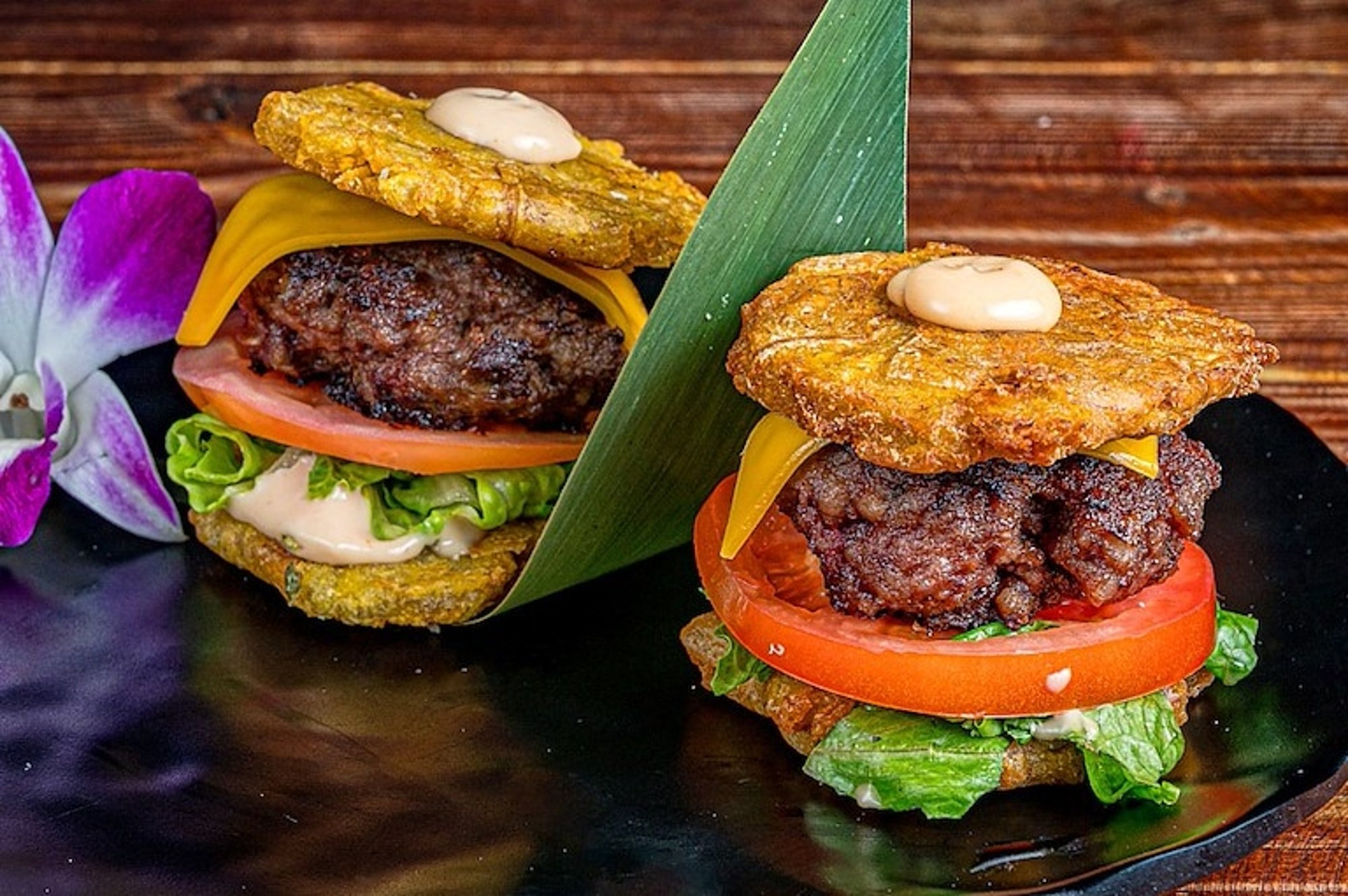 THE TIESTO SLIDERS