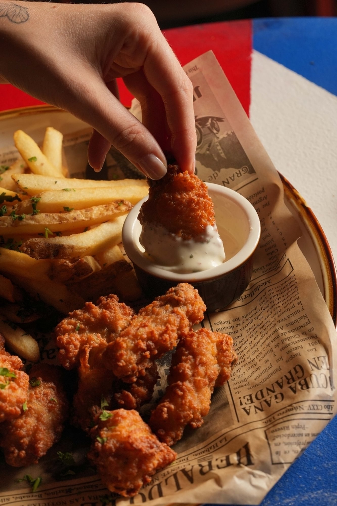 Chicken Wings and Fries