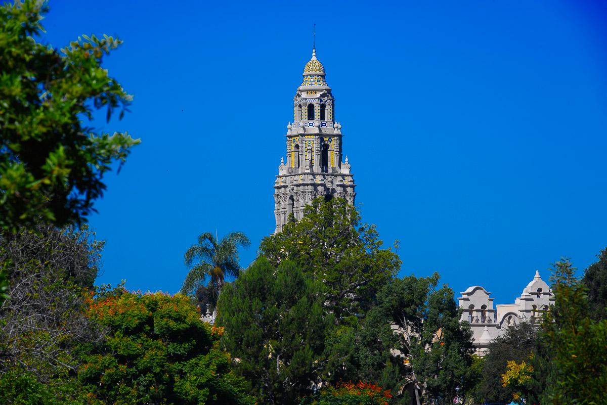 My Canvas Portraits Image