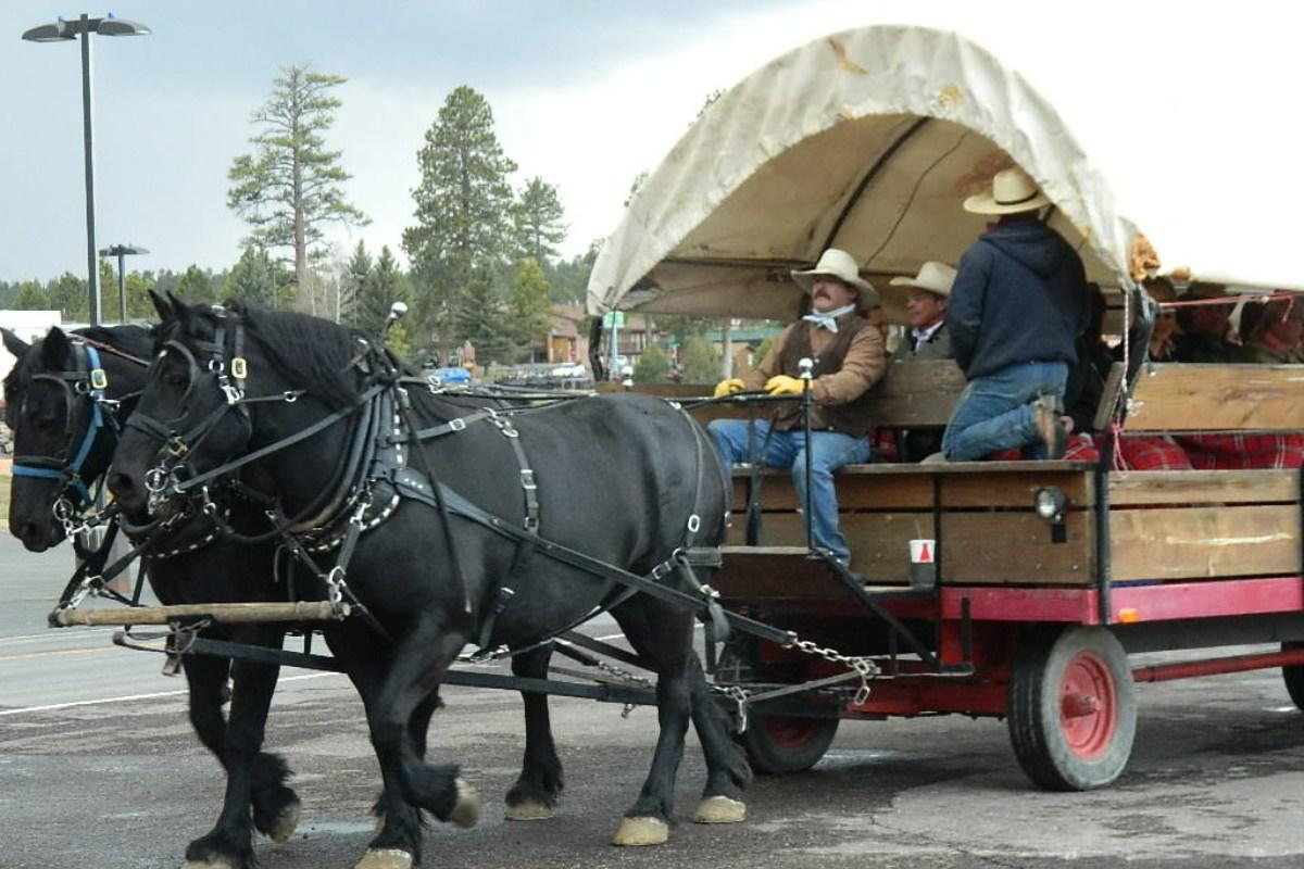 Wagon Rides