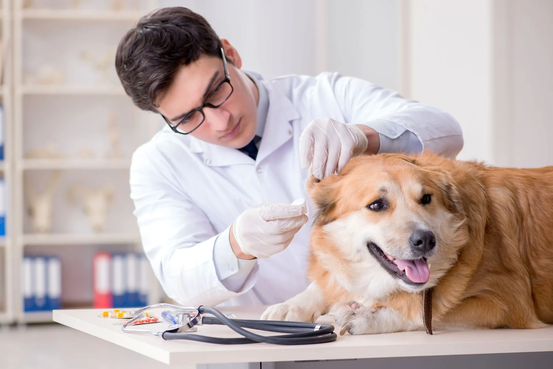 Immunizations and Vaccinations