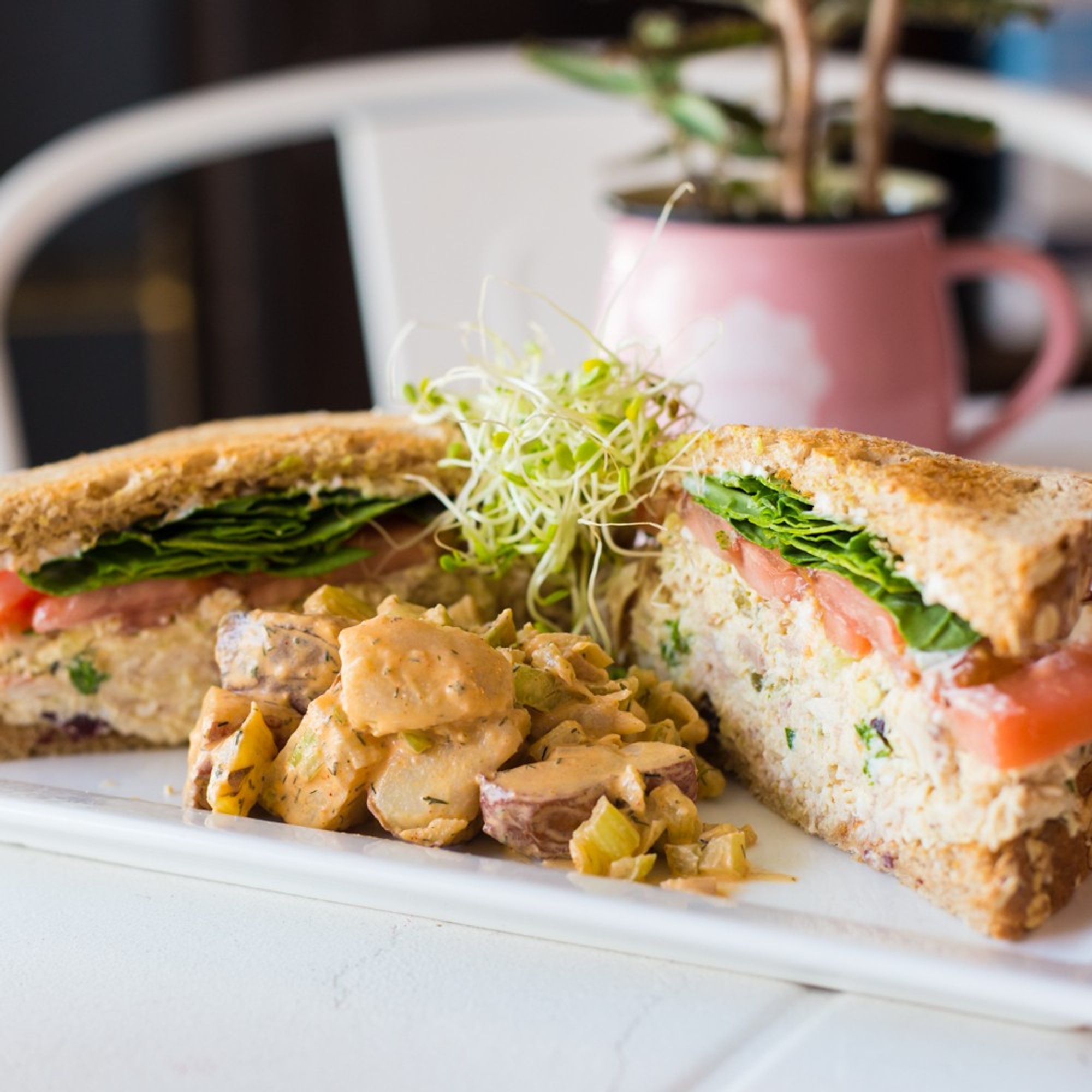 Cranberry Chicken Salad Sandwich