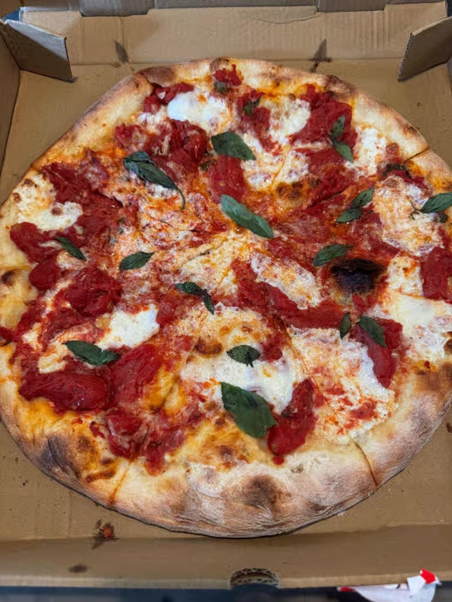 16 Margherita