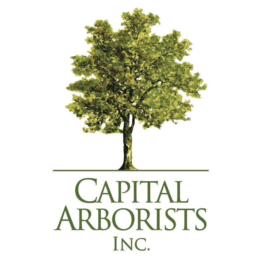 Capital Arborists, Inc. Image