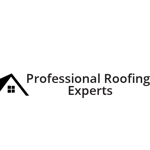 Professional roofing experts