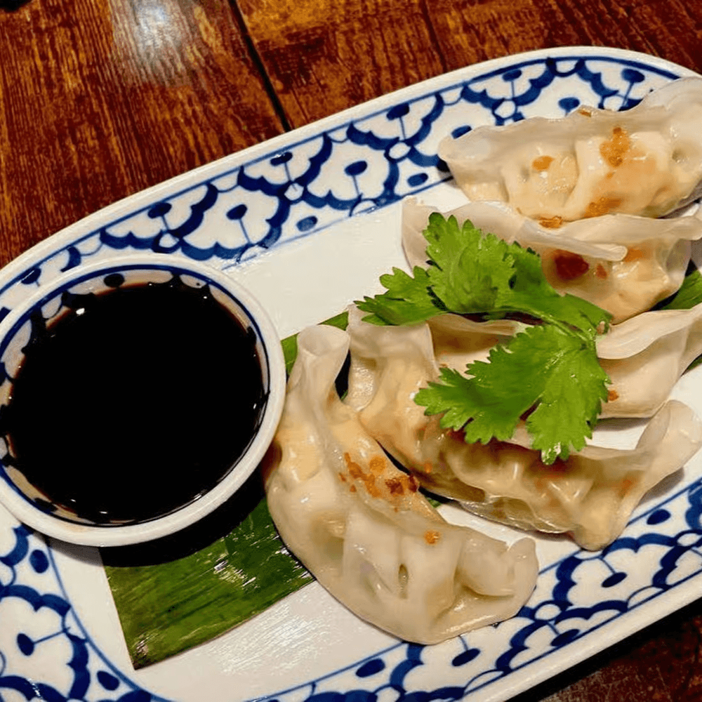 Vegetable Dumplings