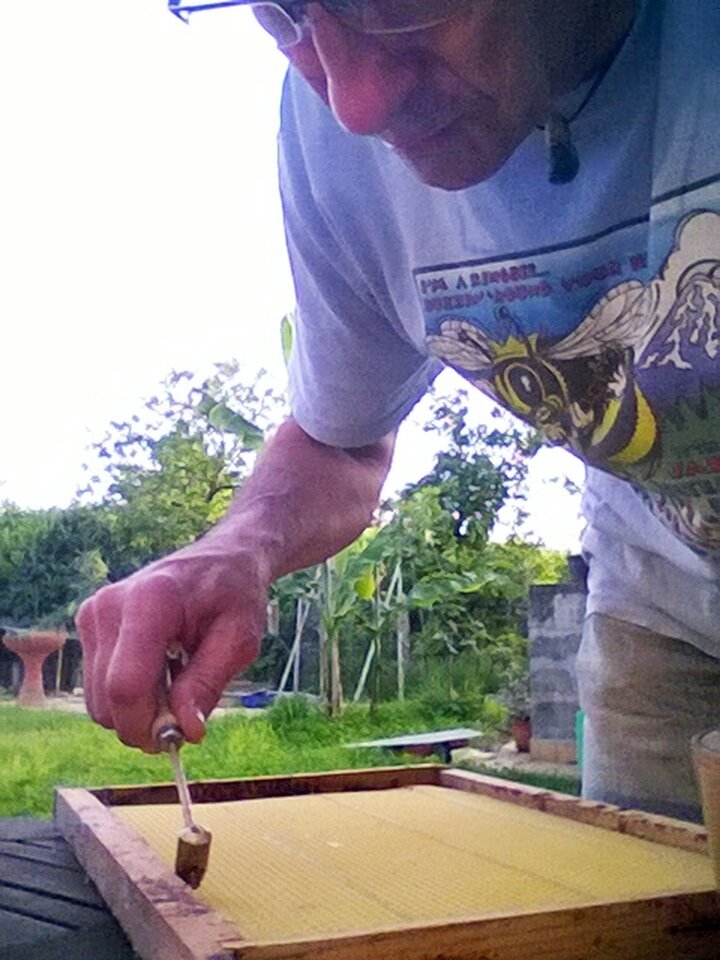 Bee Healthy Farms LLC Image