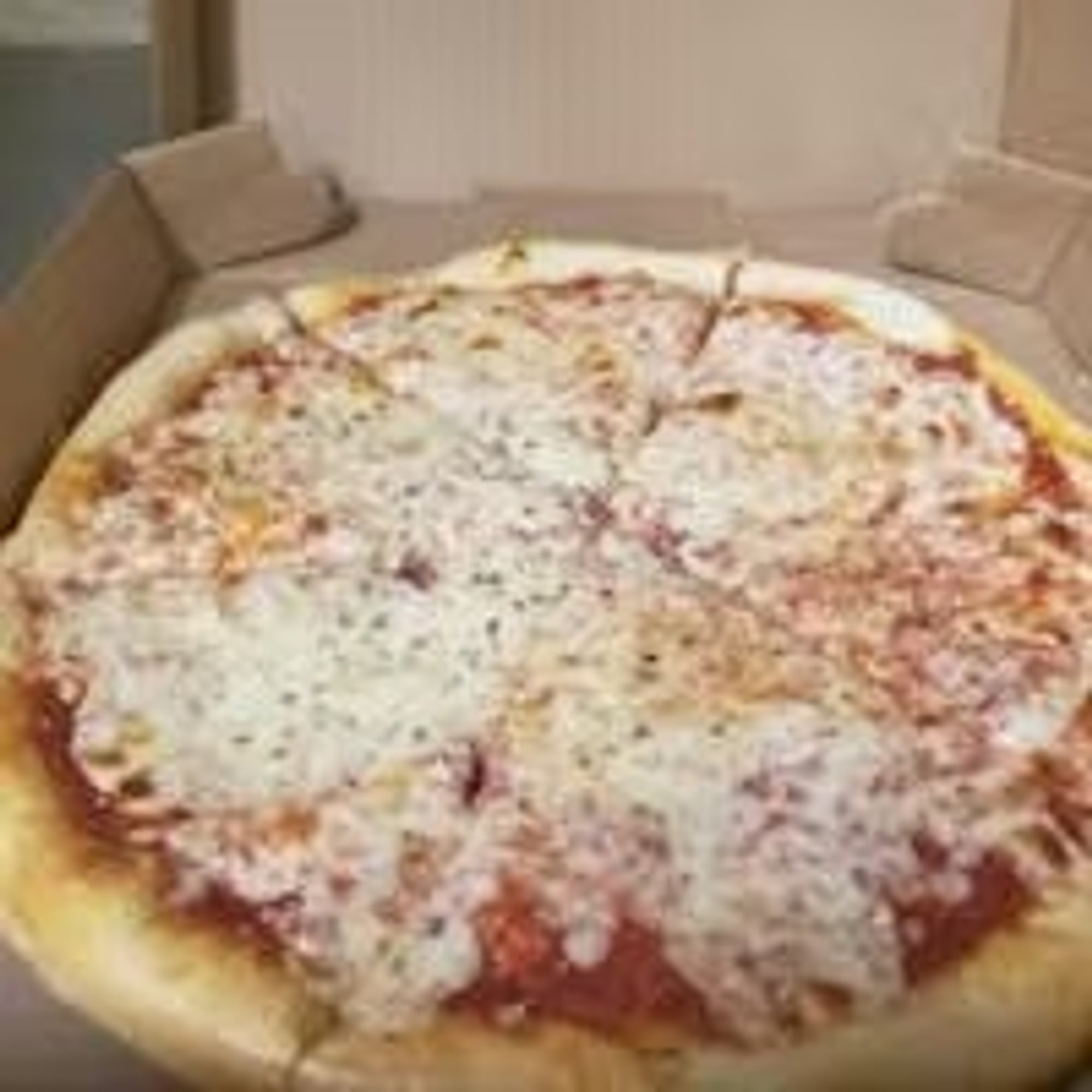 One Pizza Two Topping Pizza Special (20")