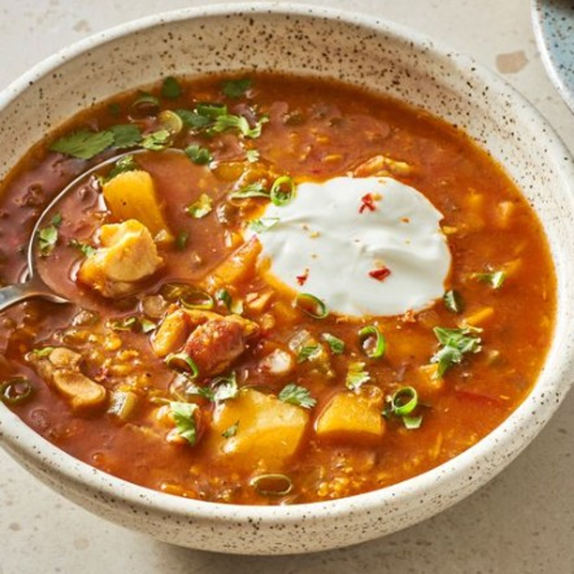 Mulligatawny Mughlai Soup