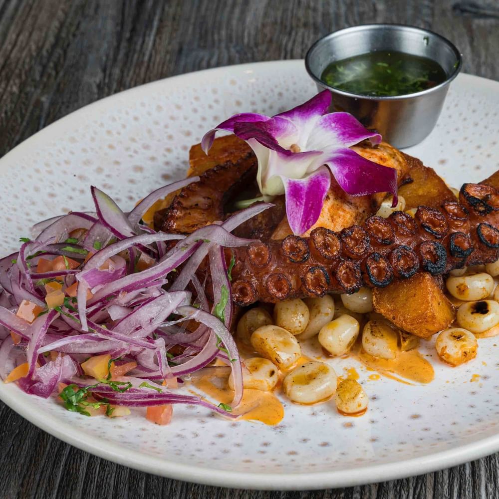 Pulpo Parrillero