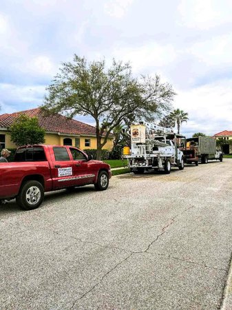 Images Ultimate Lawn Care & Tree Division