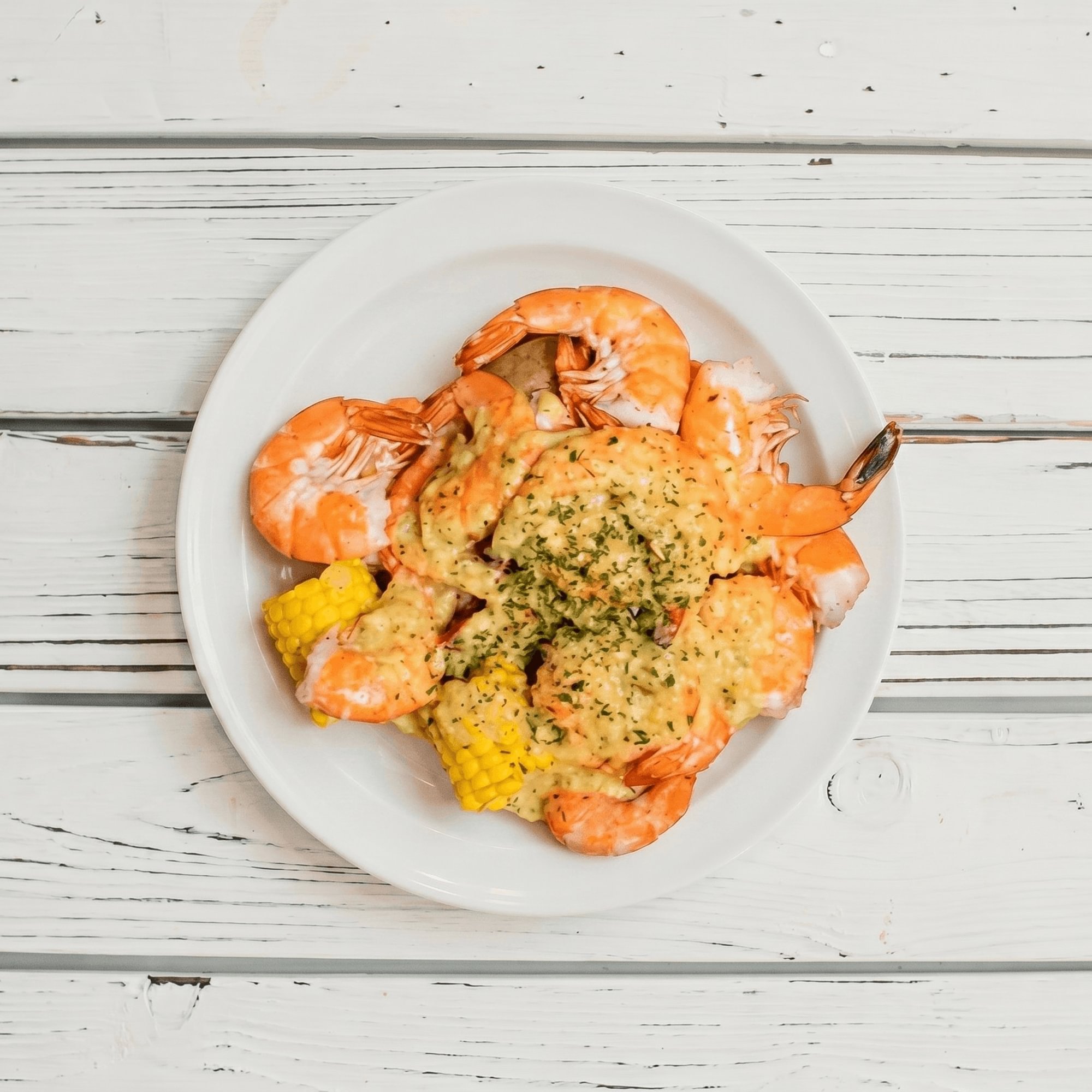Shrimp