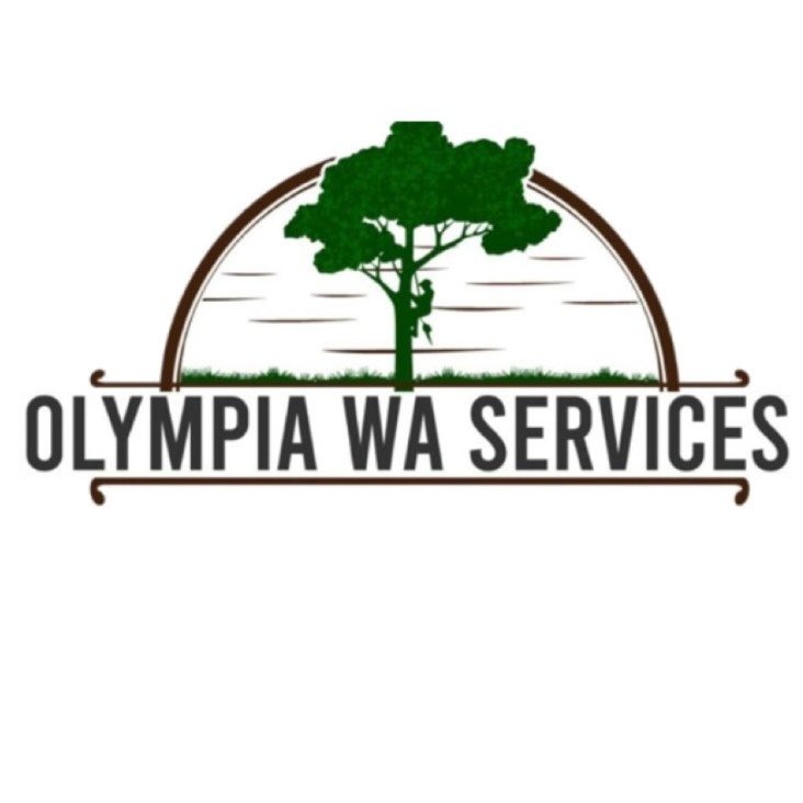 Olympia WA Services
