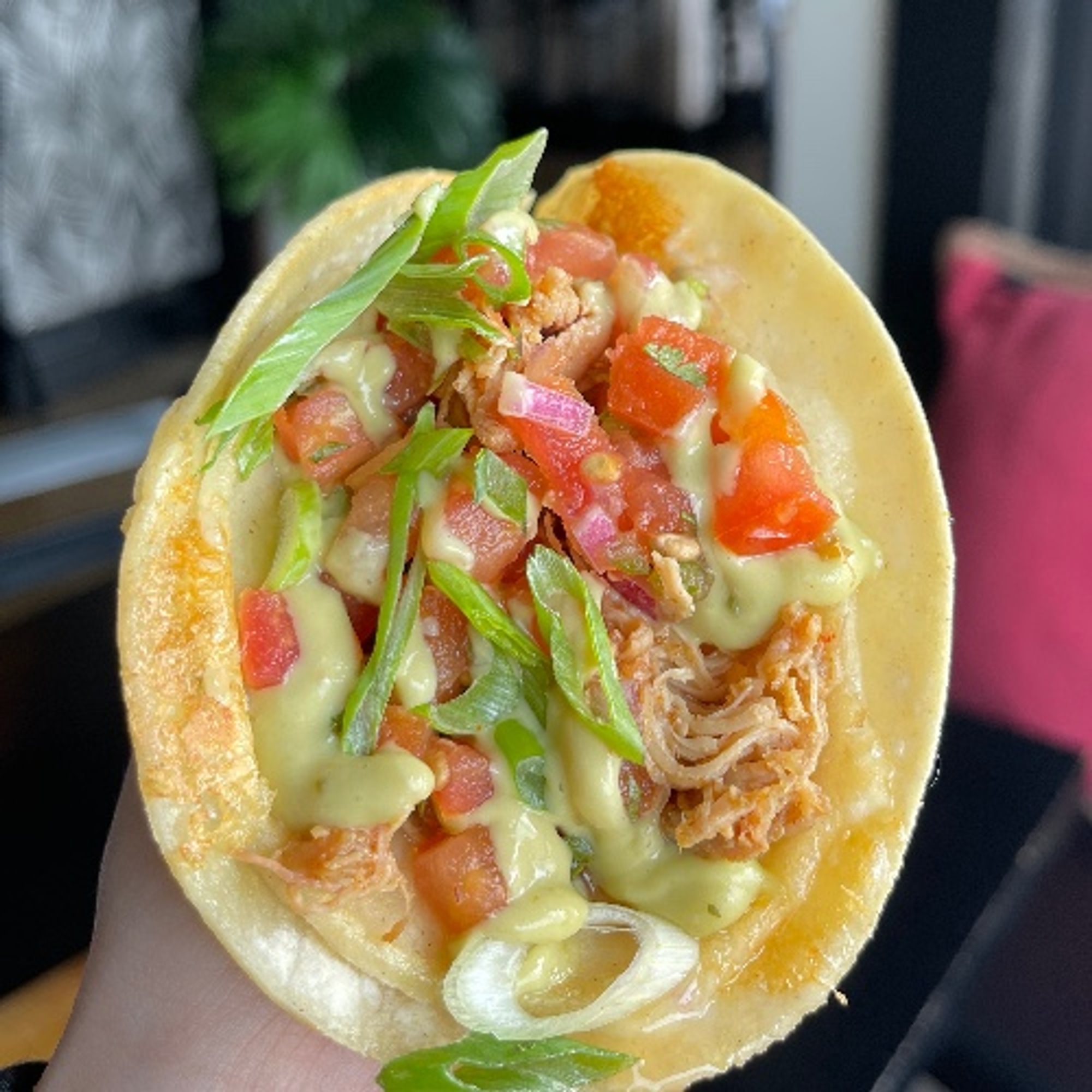 Chipotle Chicken TACOS