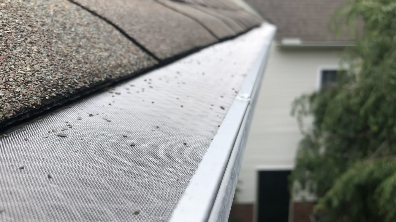 Evergreen Gutters Image