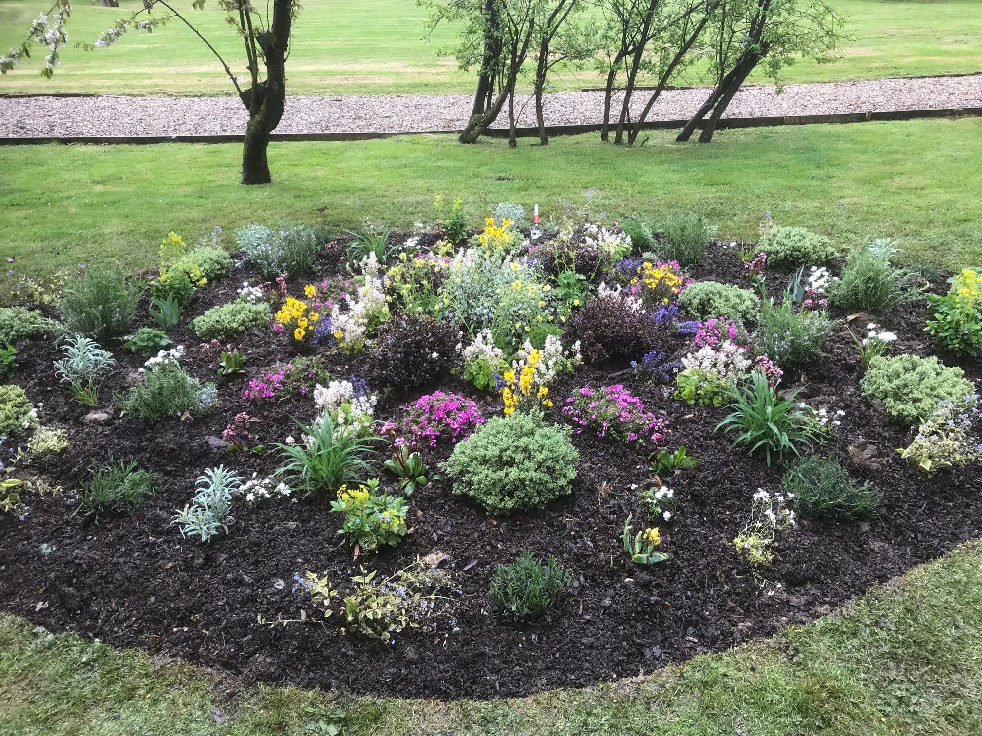 Images Tree & Garden Services