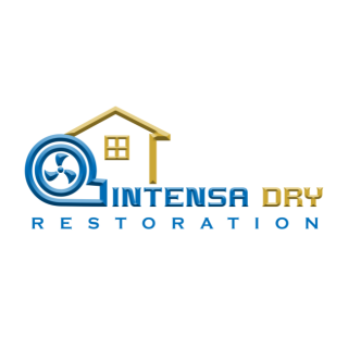 Intensa Dry Mold & Water Restoration