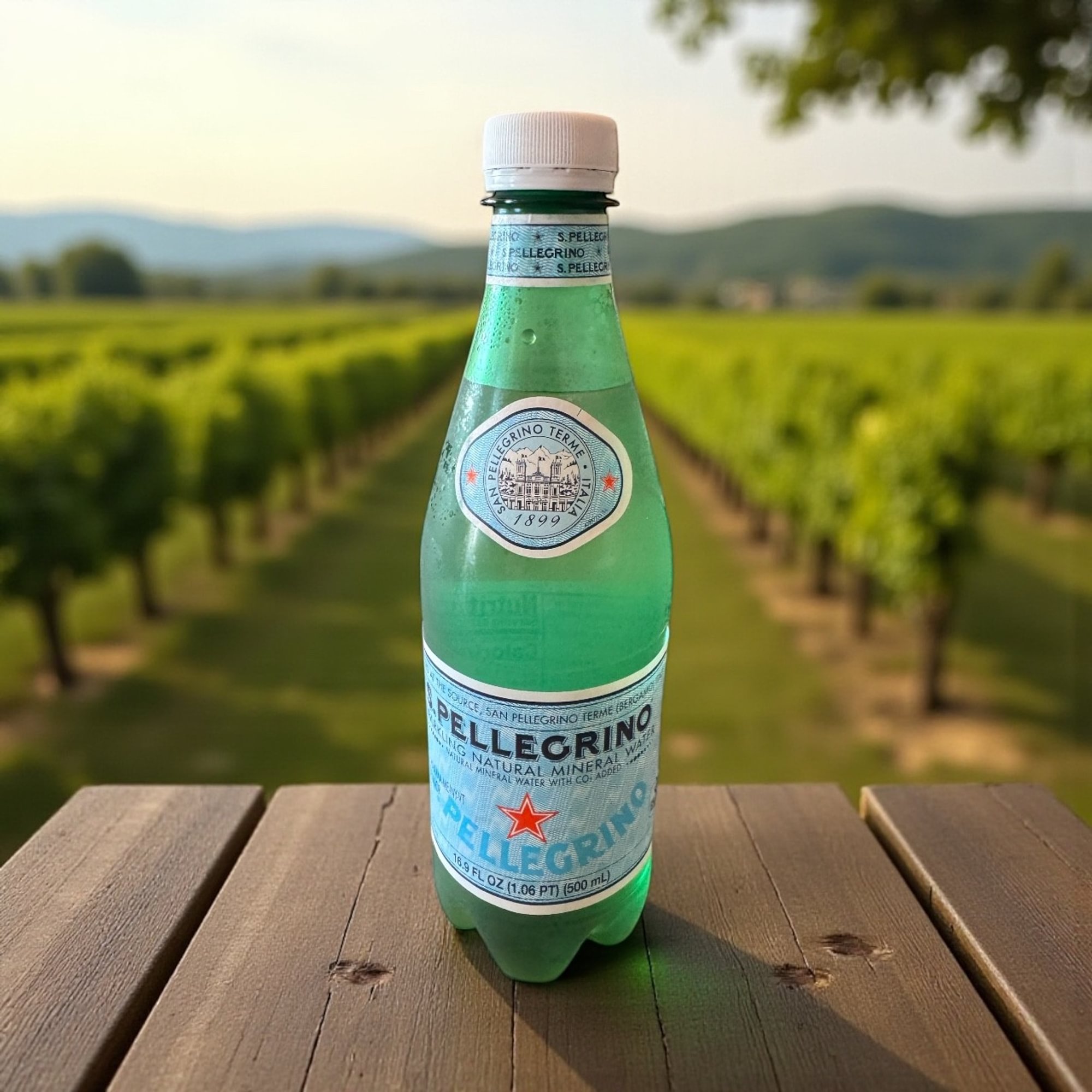 San Peligrino-Sparkling Water