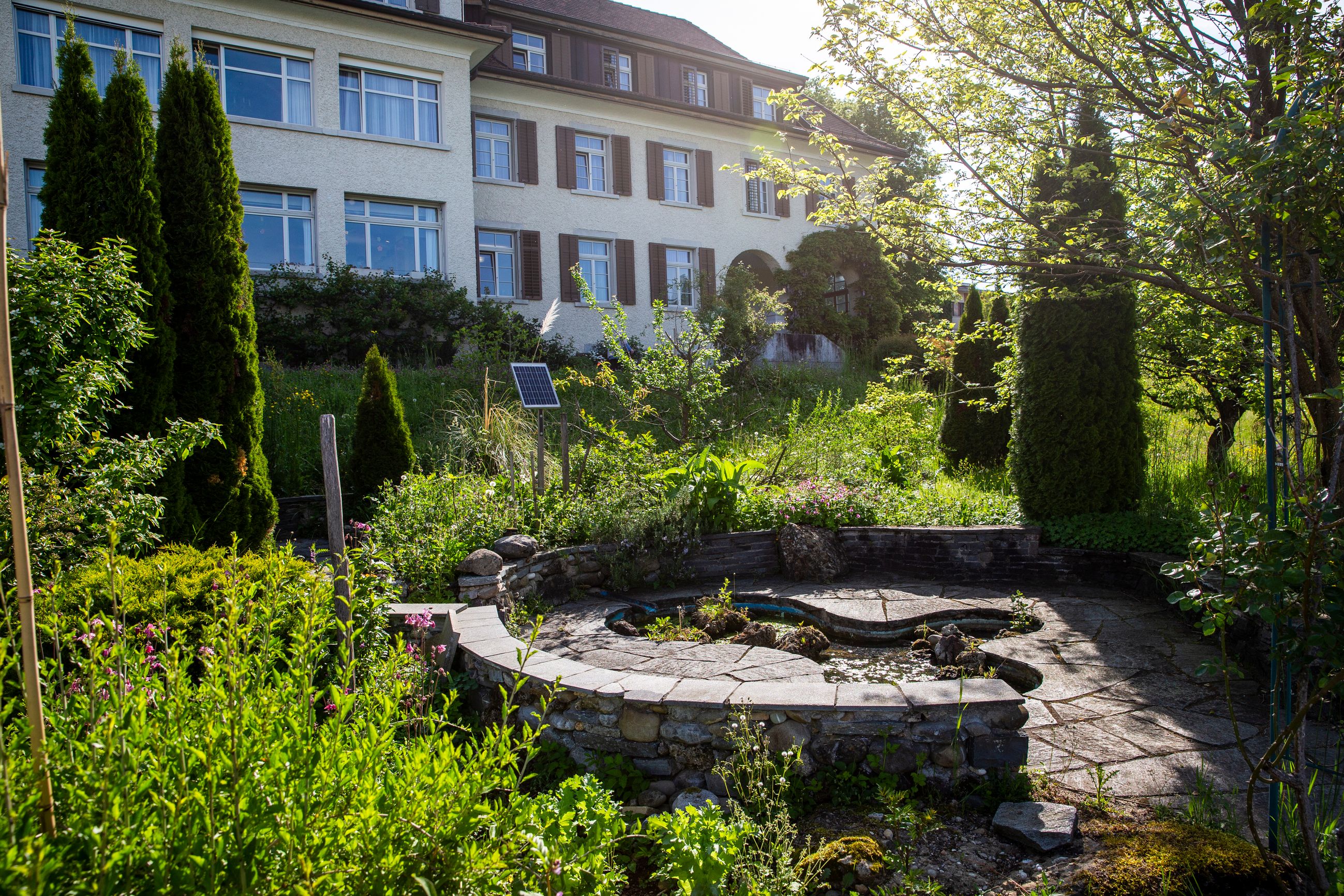 Galerie-Thumbnail
