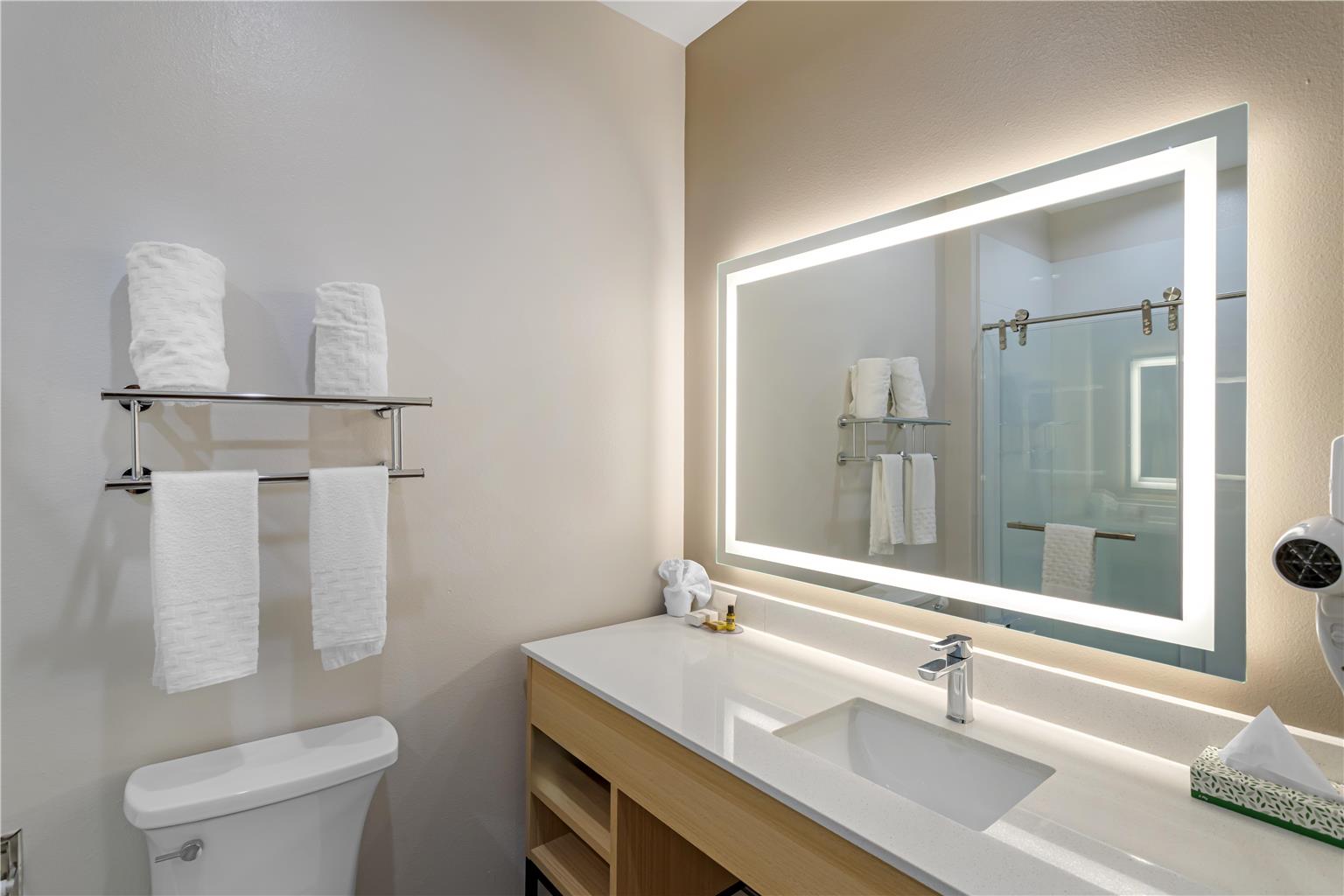 Best Western Plus Pearland/Houston Medical Center Hotel Image
