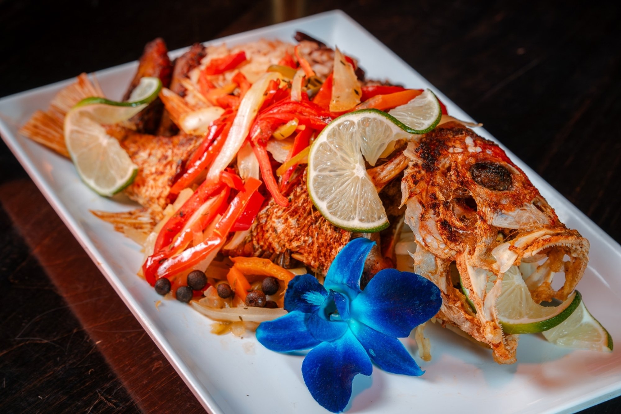 Snapper