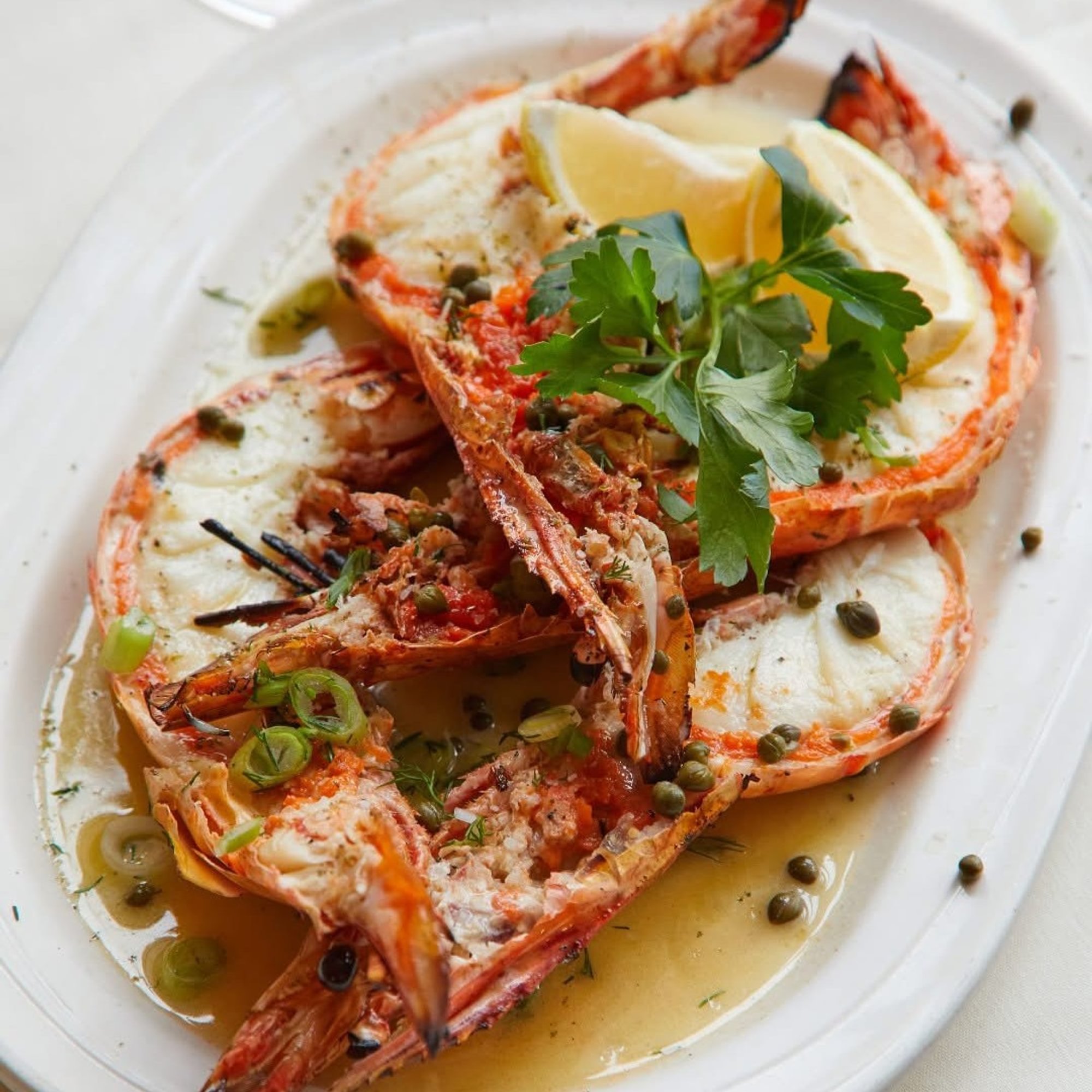 Madagascar Tiger African Prawns