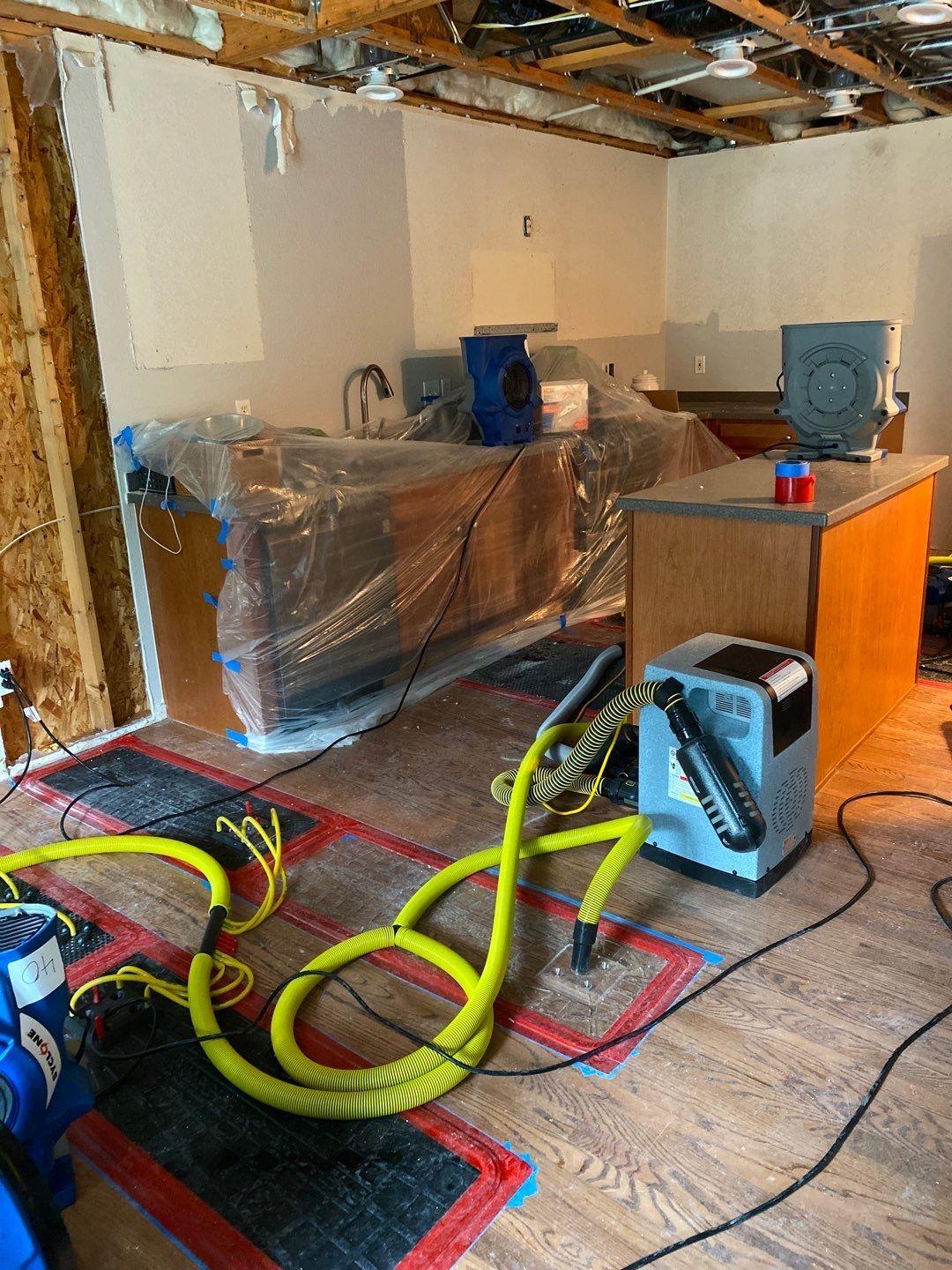 Anatom Restoration Image