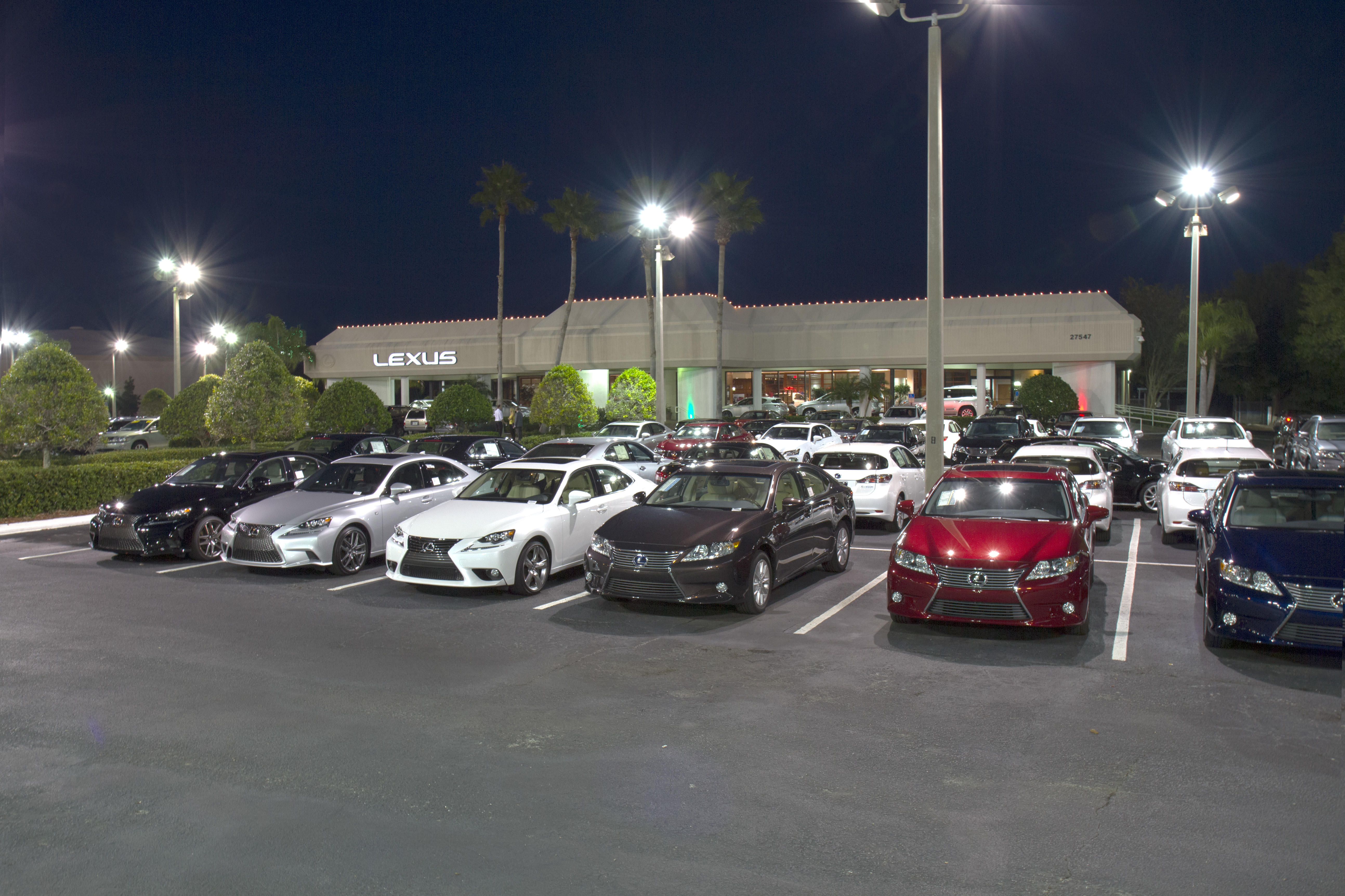 Lexus of Clearwater Photo