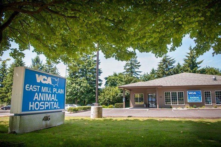 VCA East Mill Plain Animal Hospital Photo