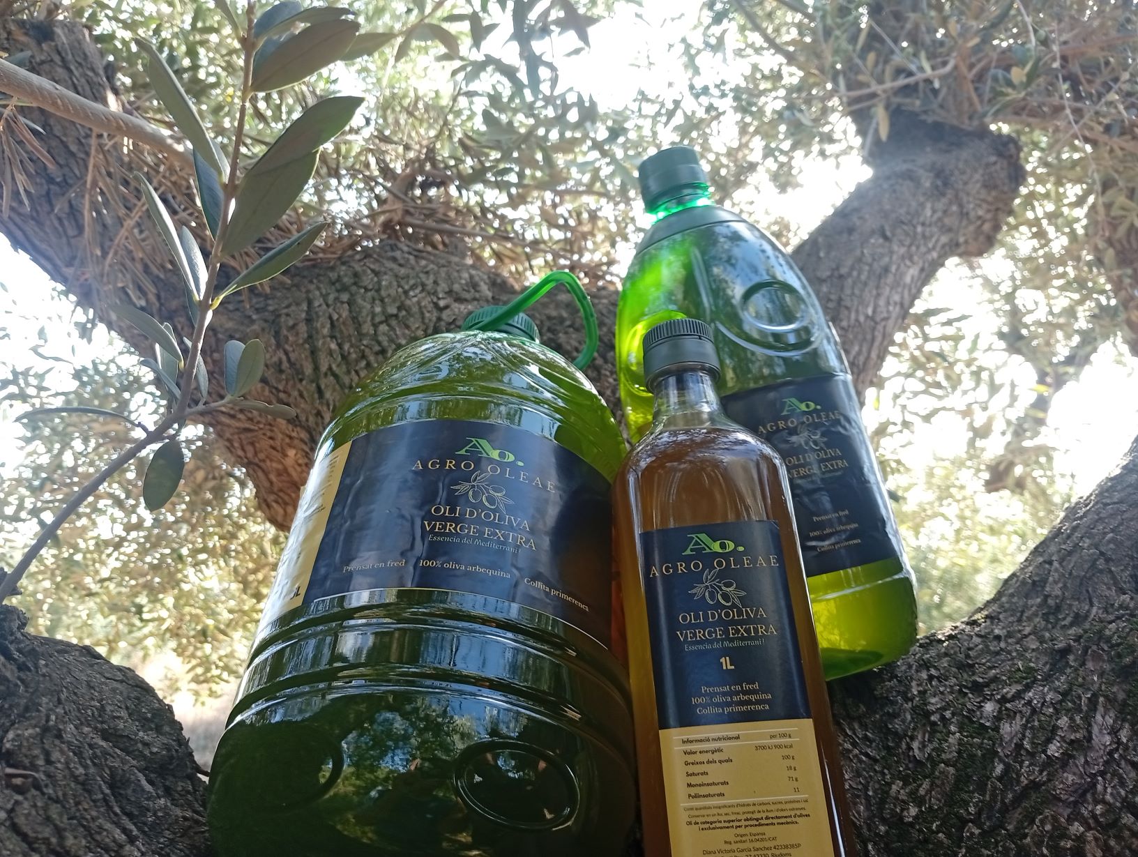 Galería en miniatura