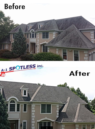 Images A-1 Spotless Inc | Power Washing, Soft Washing & Painting