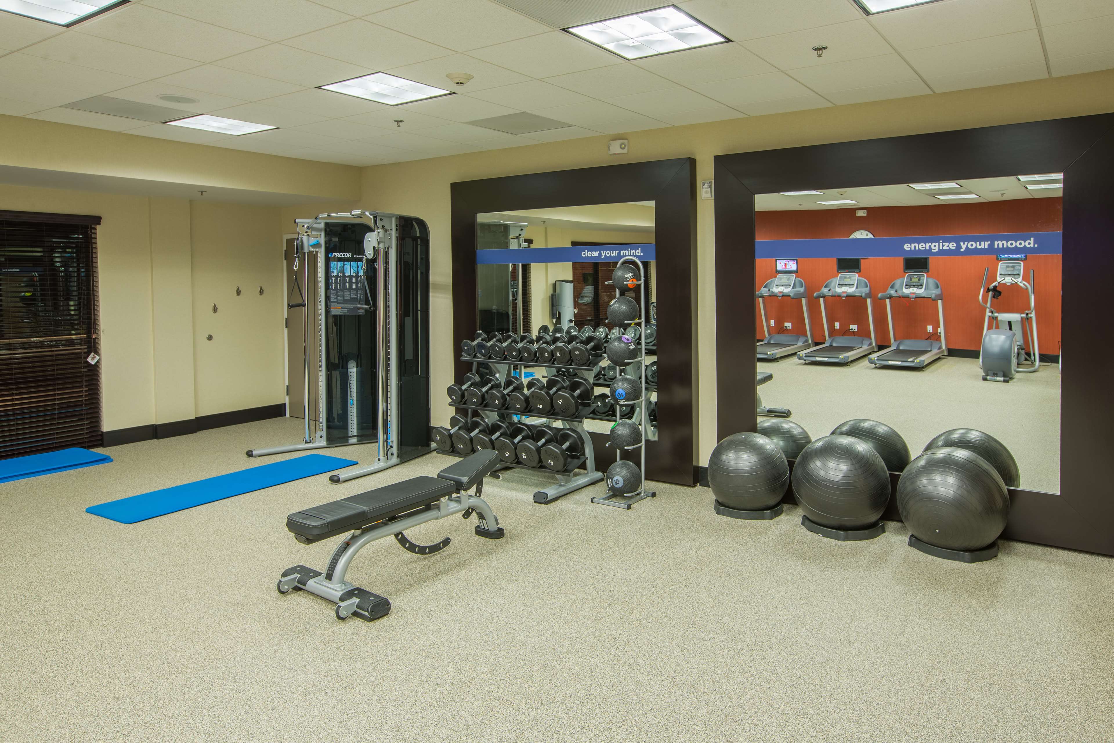 Health club  fitness center  gym