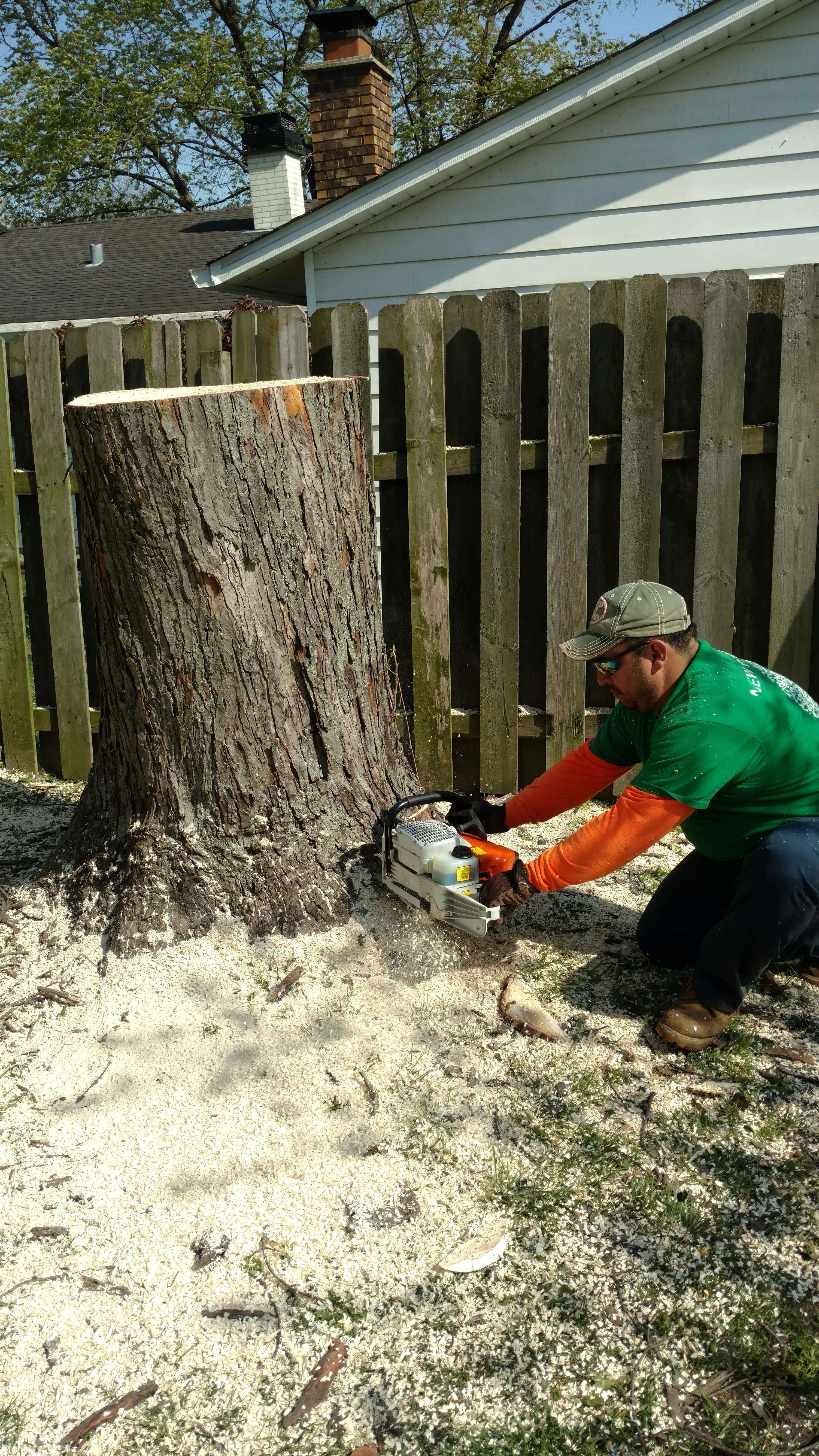 New Beginning Tree Service Company Image