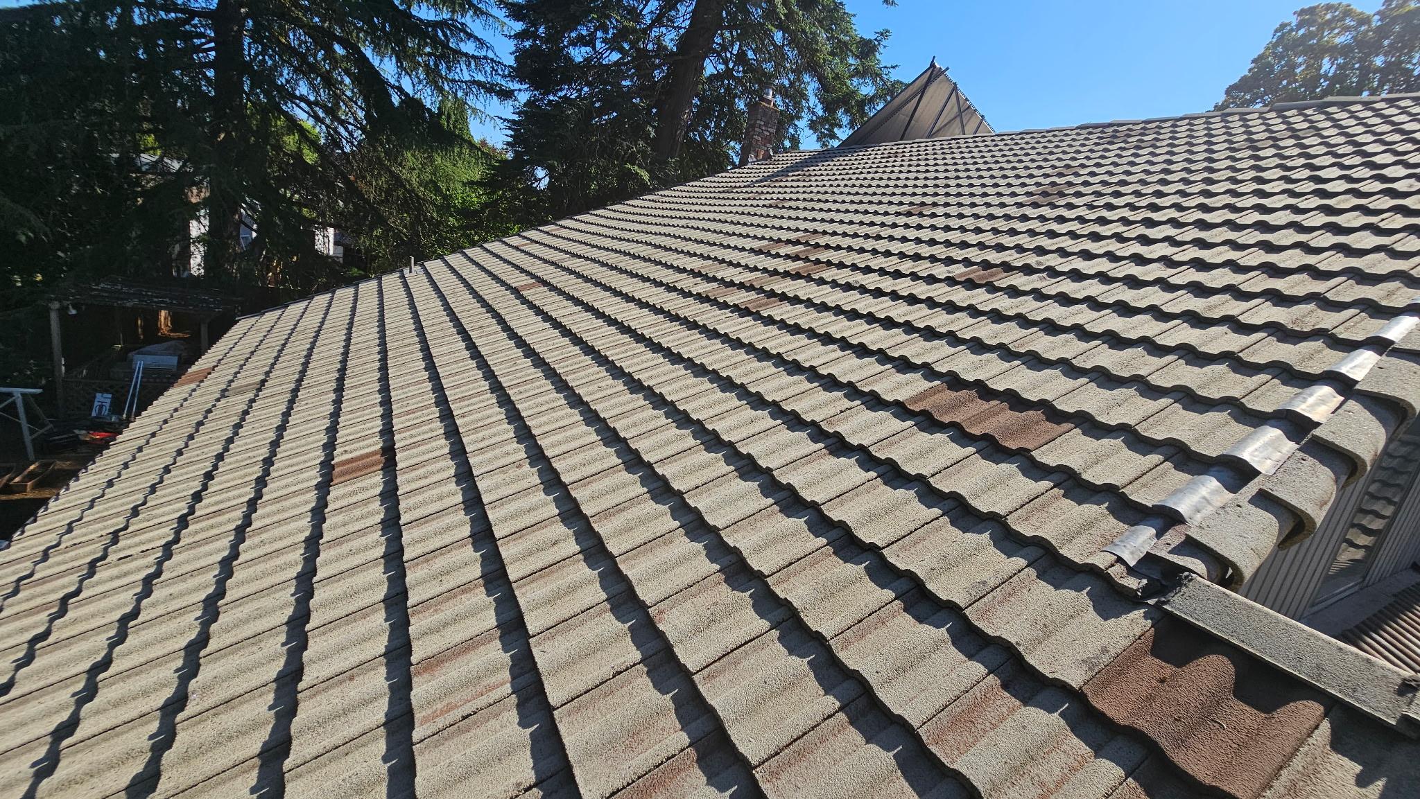 Roof Life Of Oregon Image