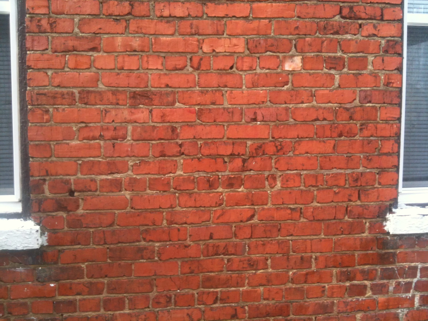 Evergreen Cleaning Image