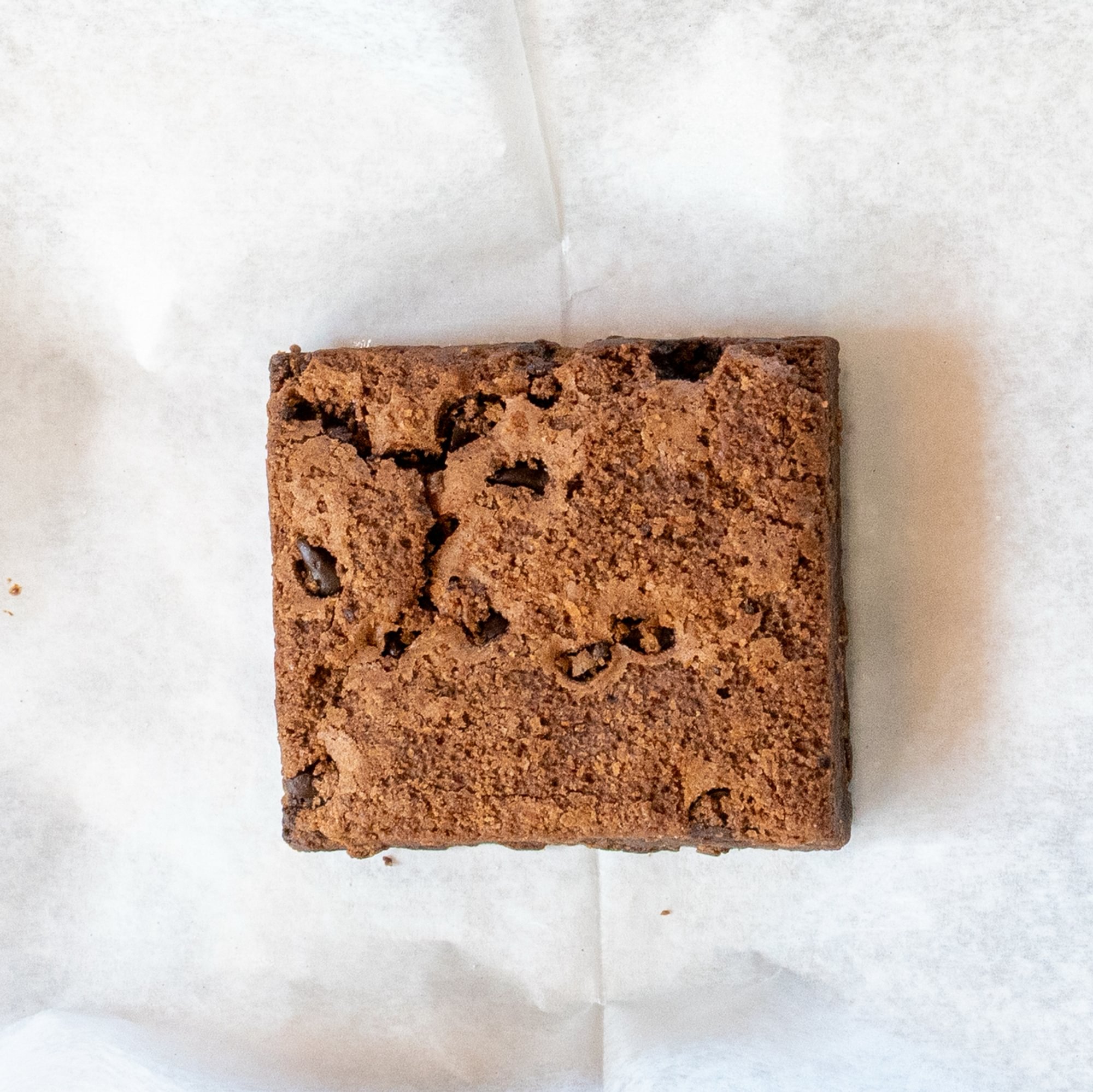 Chocolate Chip Brownie