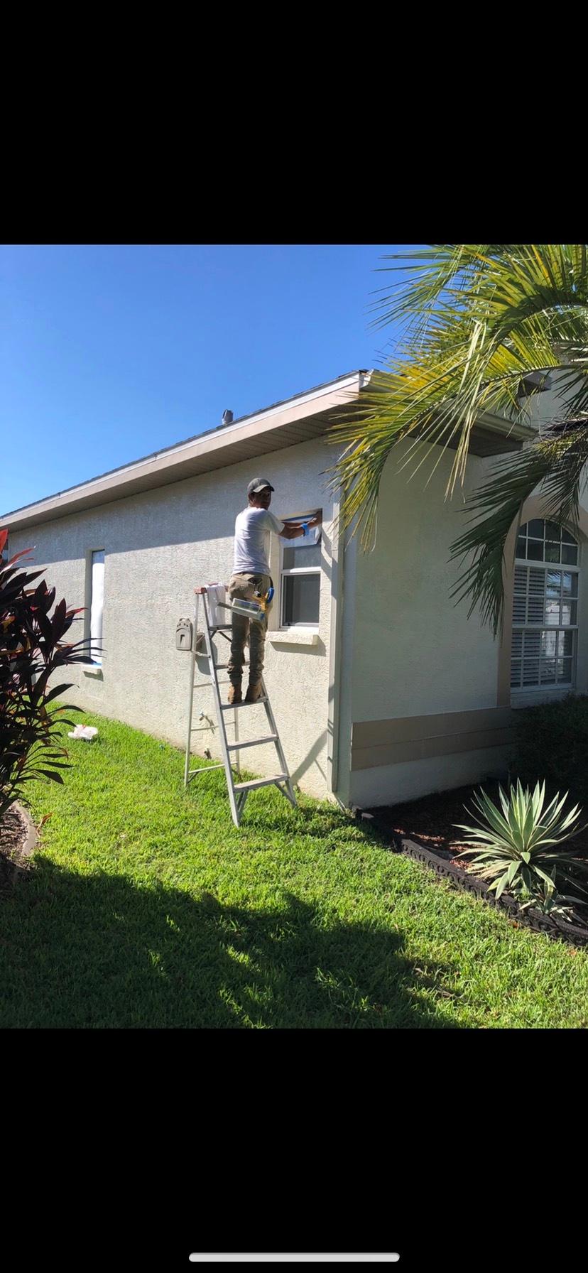 Peach Painting Image