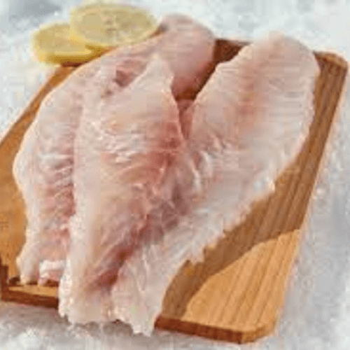 Grouper - Florida