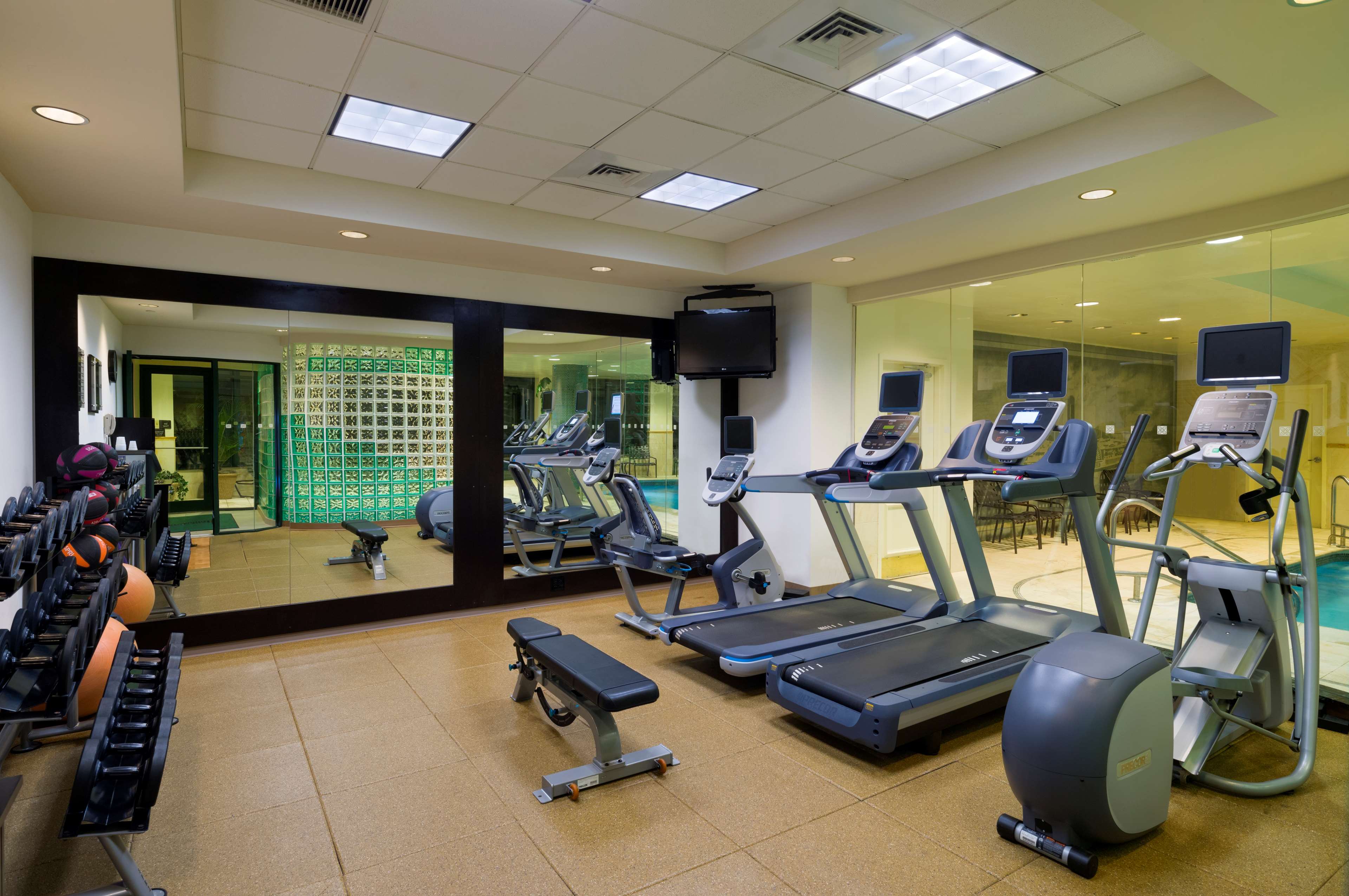 Health club  fitness center  gym