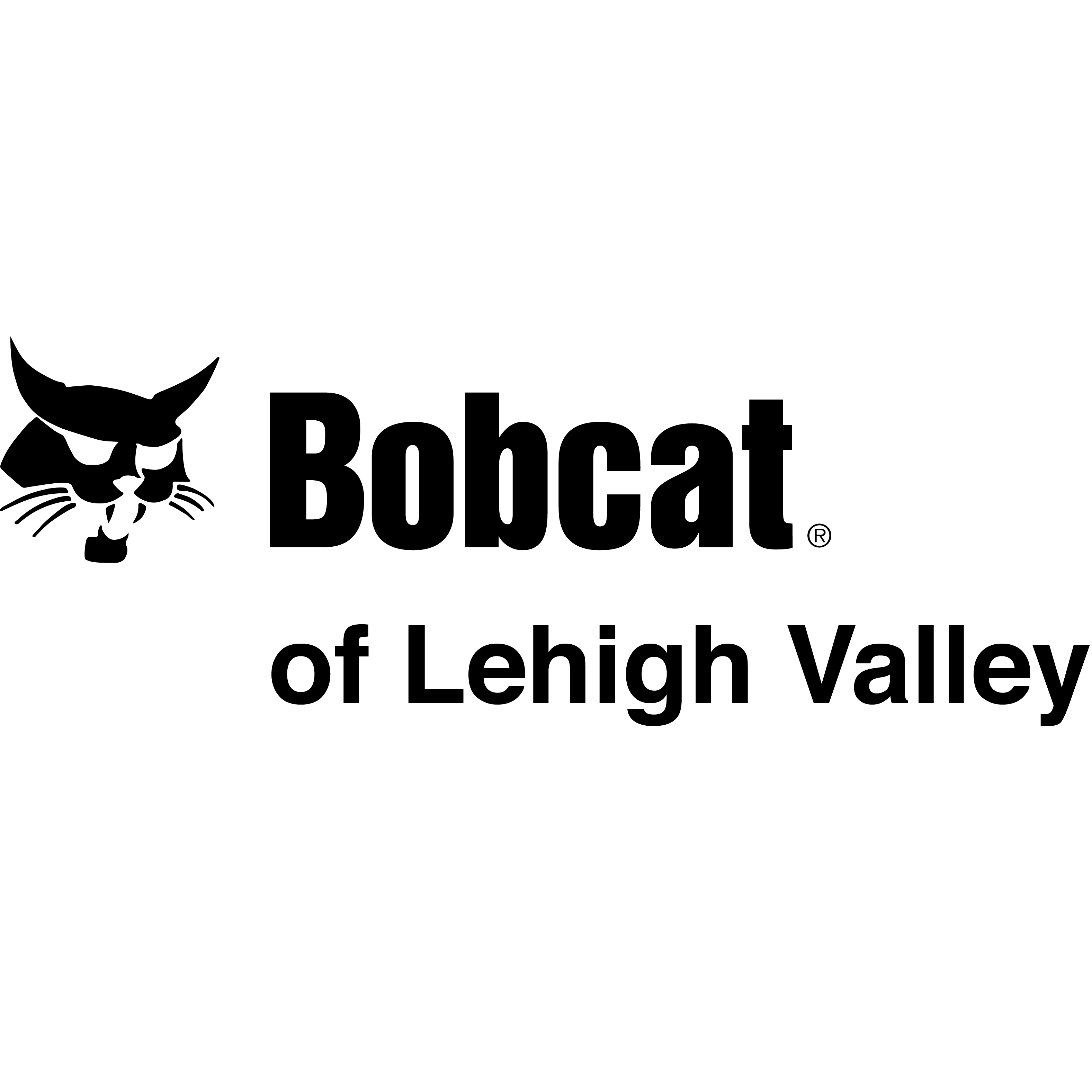 Bobcat of Lehigh Valley Logo