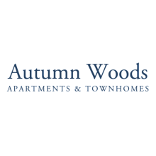 Autumn Woods