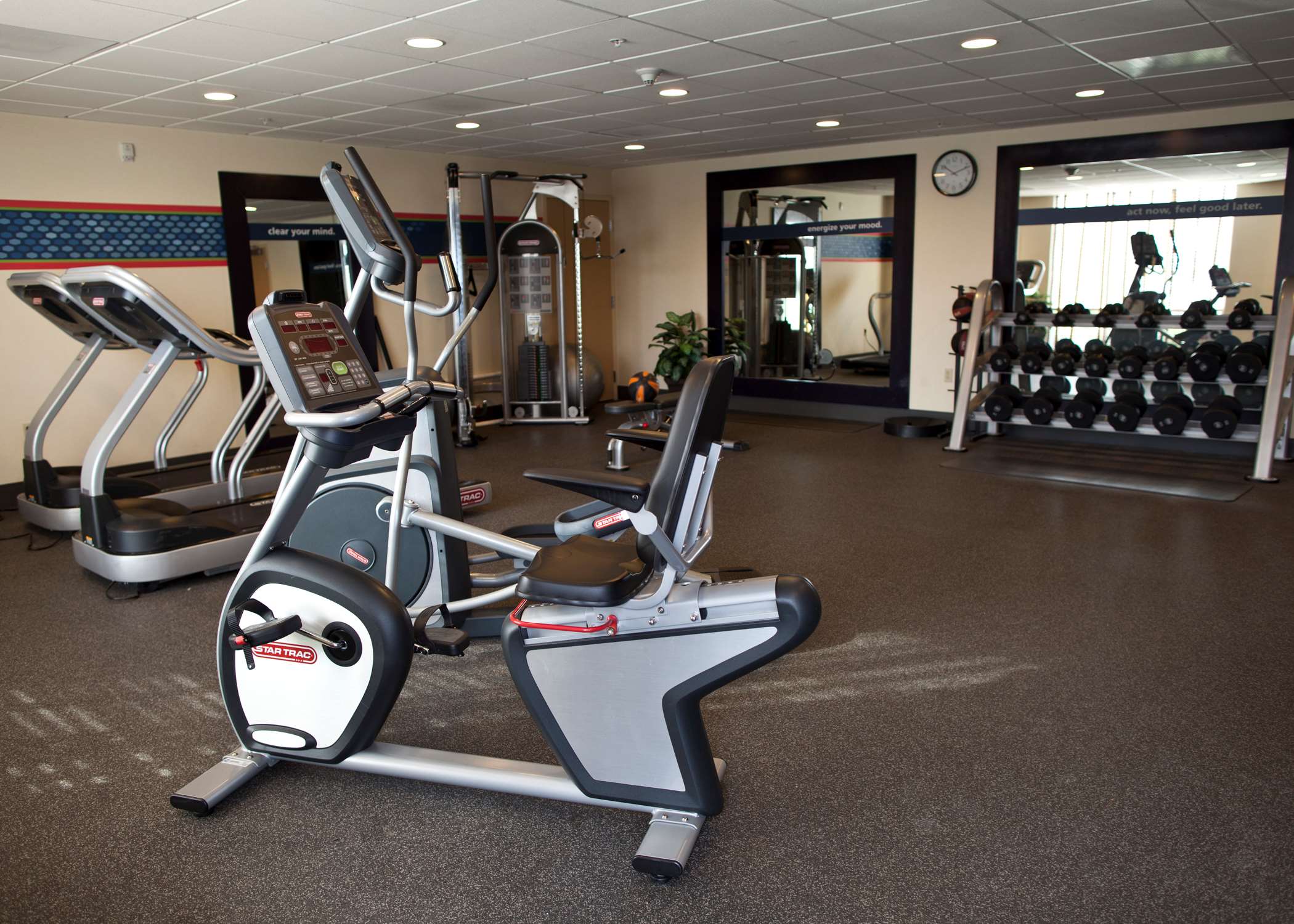 Health club  fitness center  gym