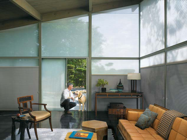 Hunter Douglas Duette® Architella® Honeycombs
