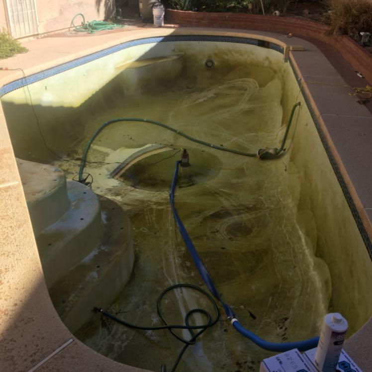 Poolguys Swimming Pool Service Photo