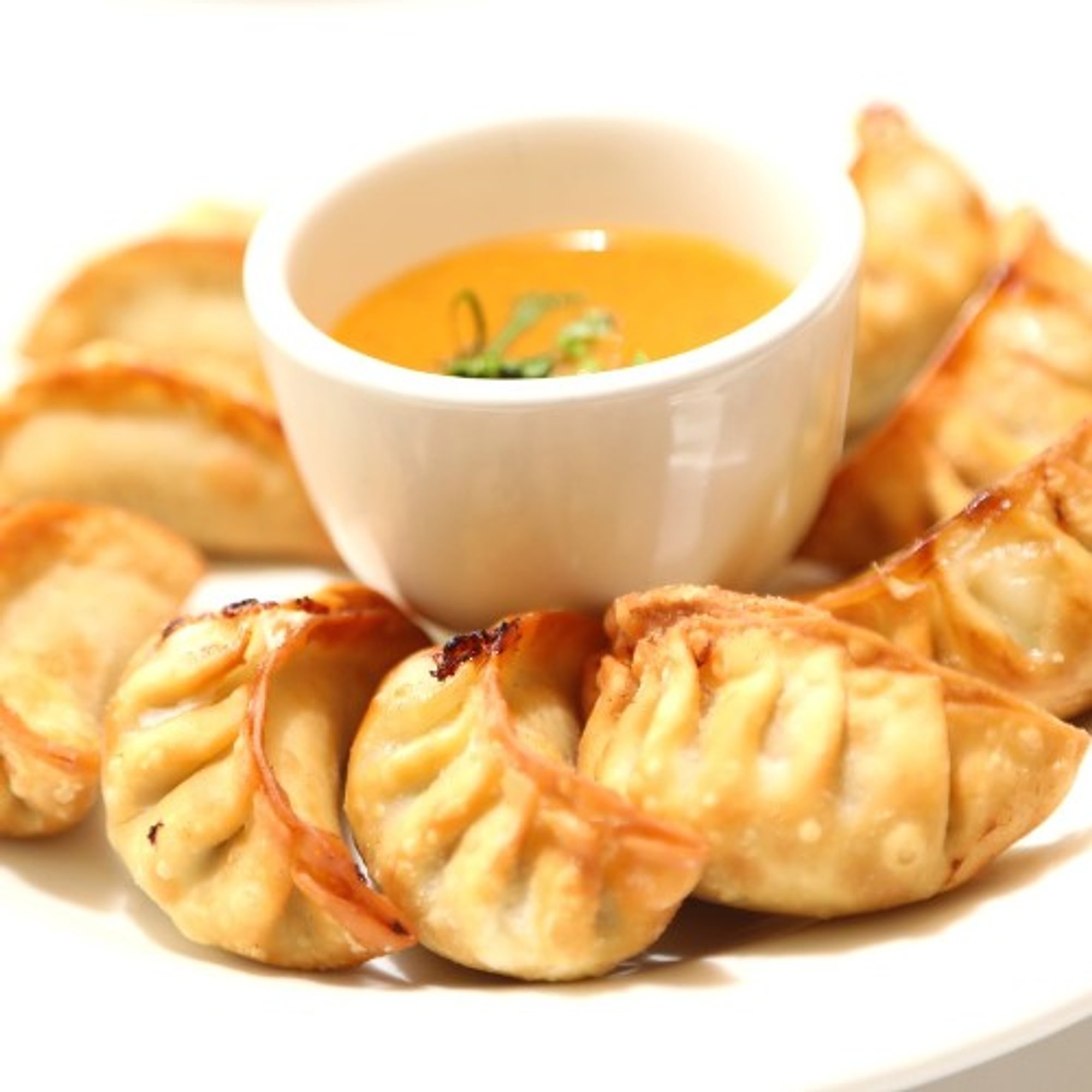 Paneer Fried Momo