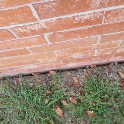 Images Triton Foundation Repair