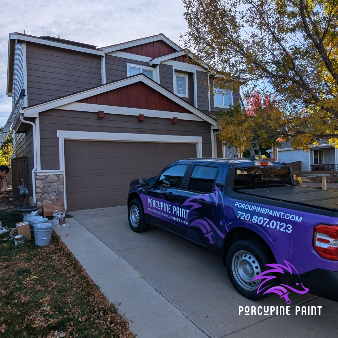 Porcupine Paint Image