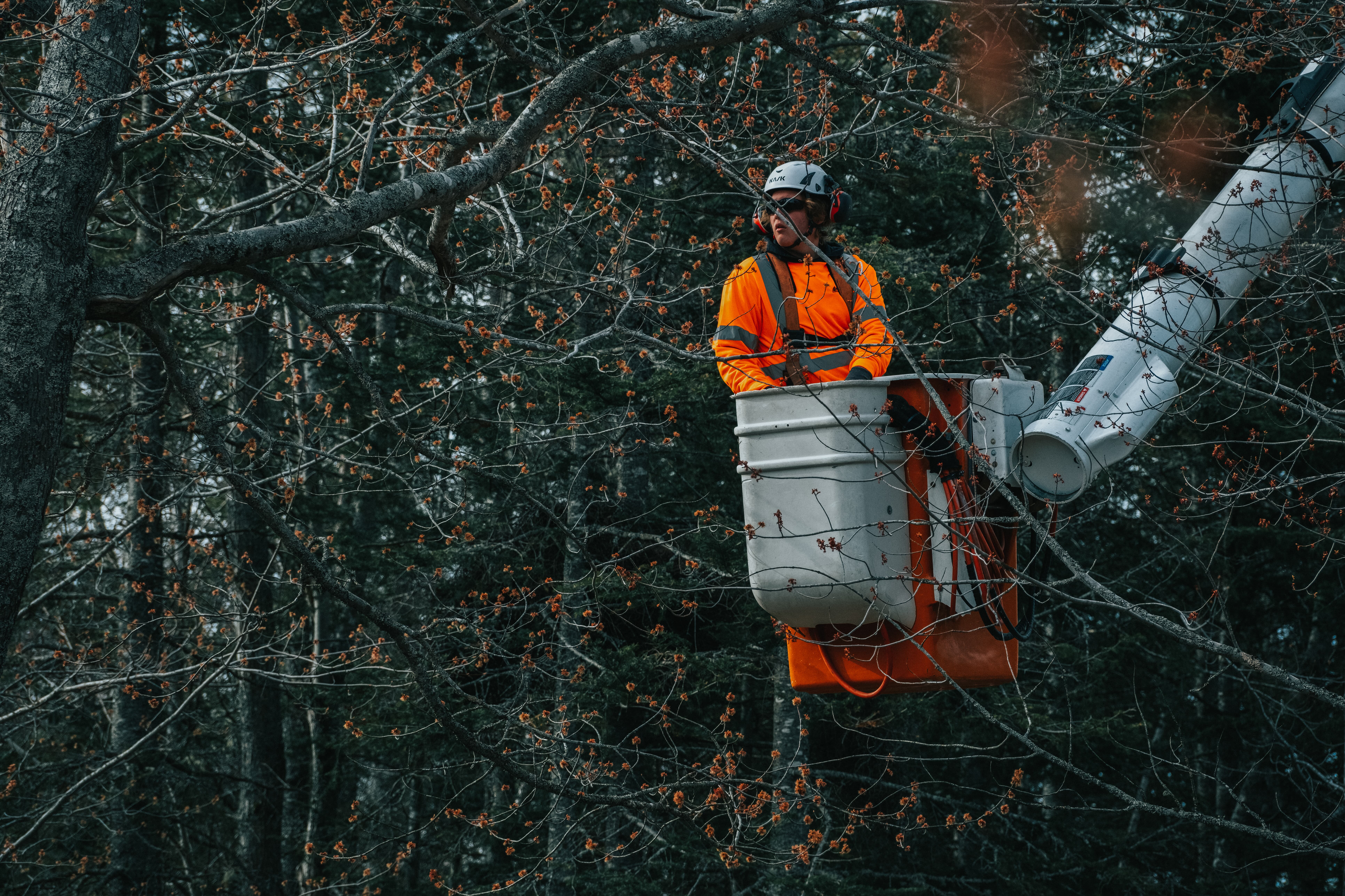 Afm Pro Forestry Inc.